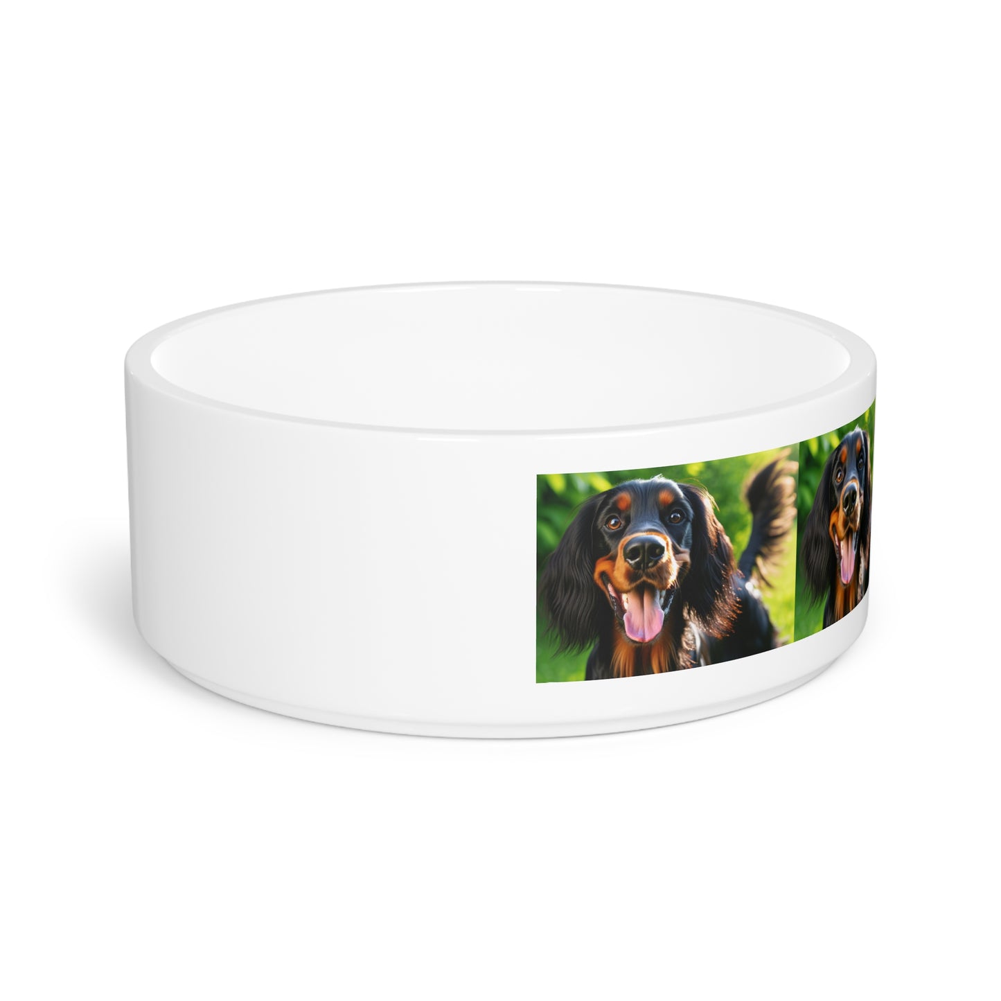 Gordon Setter Pet Bowl