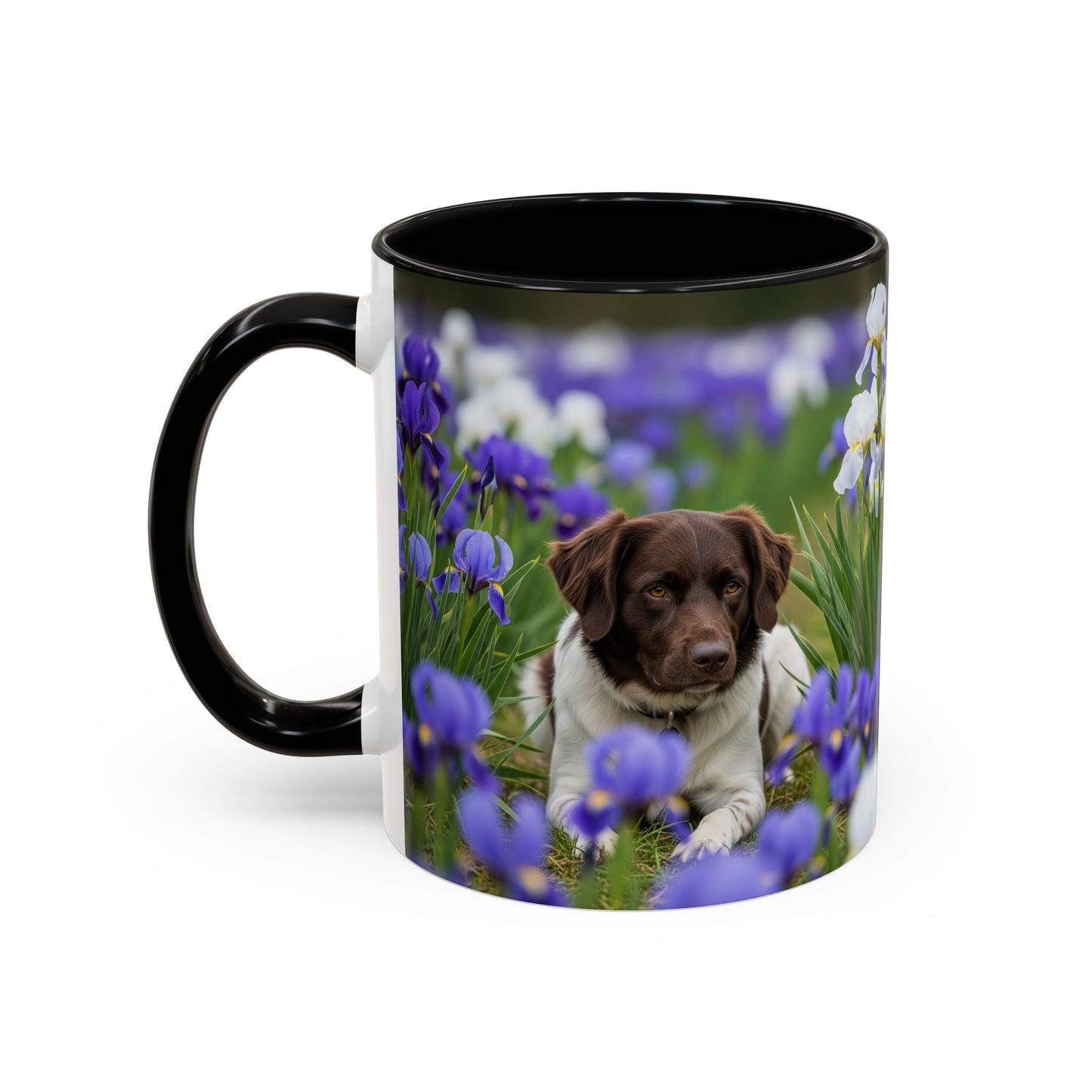 Mug Stabyhouns Accent - Cadeau idéal pour les amoureux des chiens