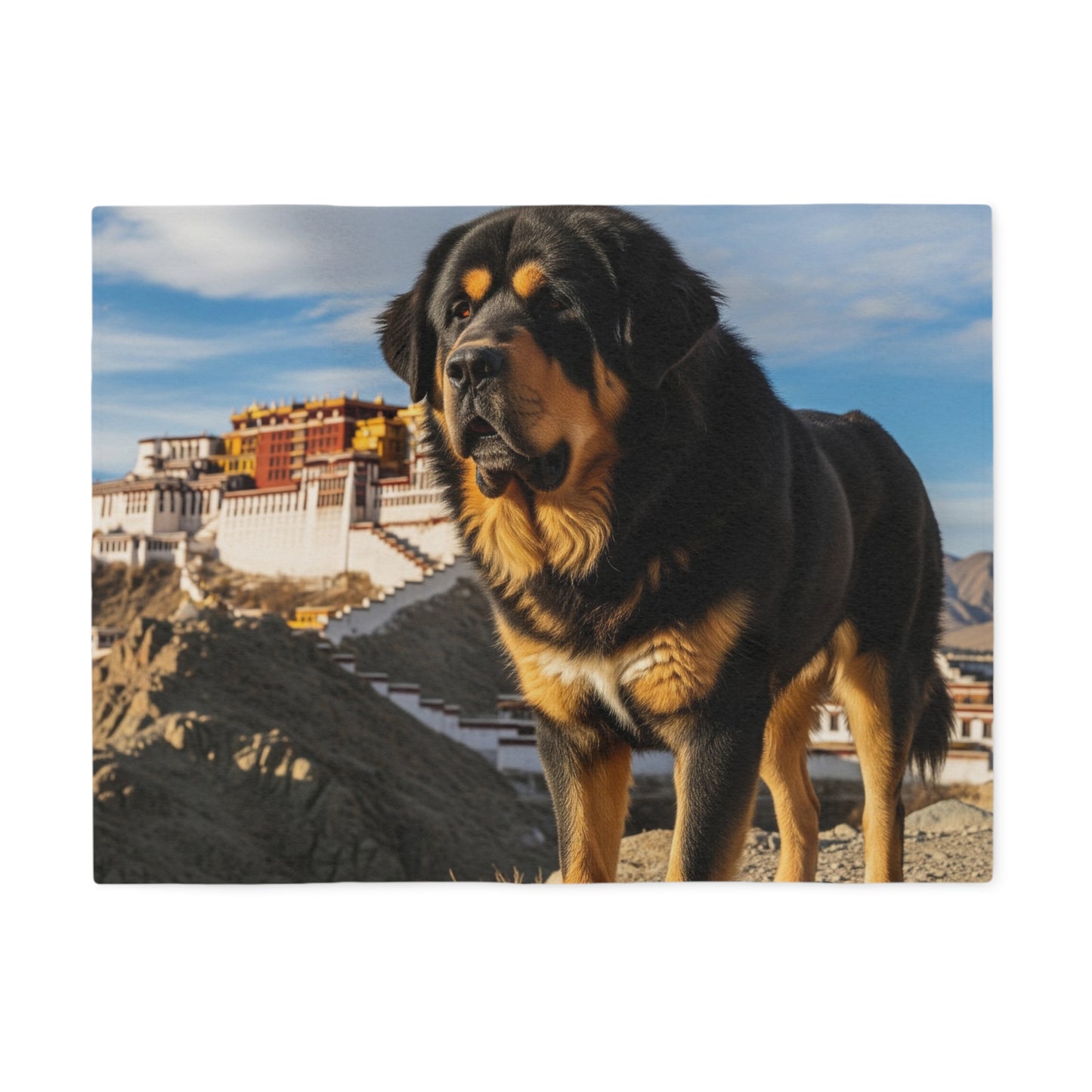 Tibetan Mastiff Blanket