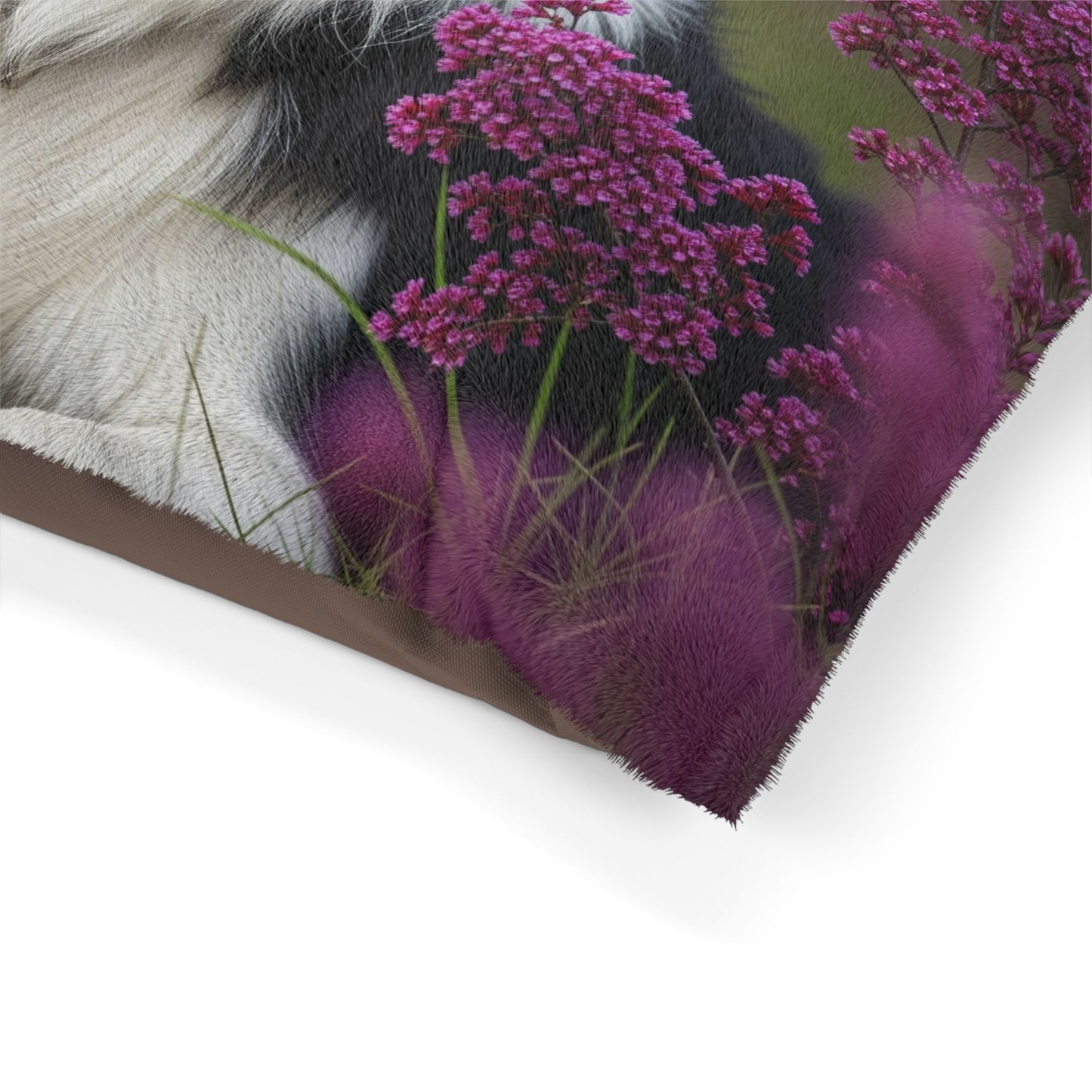 Border Collie Pet Bed
