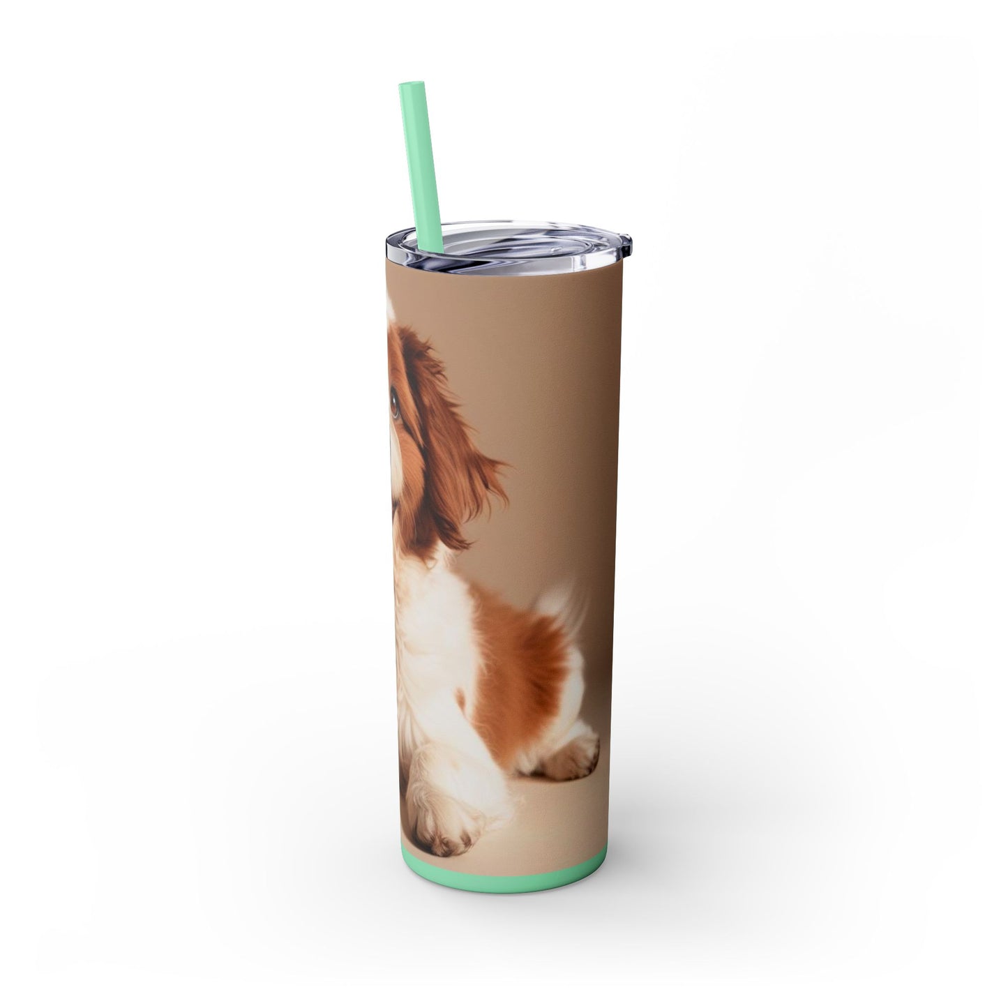 Lagotto Romagnolo Tumbler with Straw, 20oz