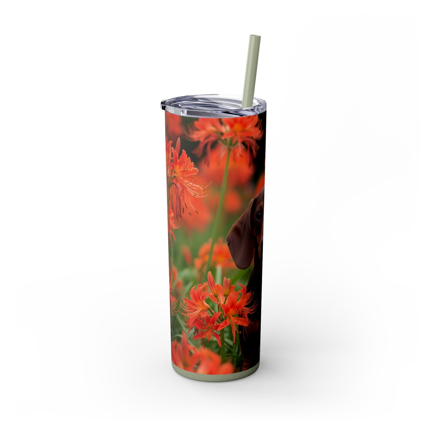 Gobelet isotherme Teckel avec paille, 590 ml