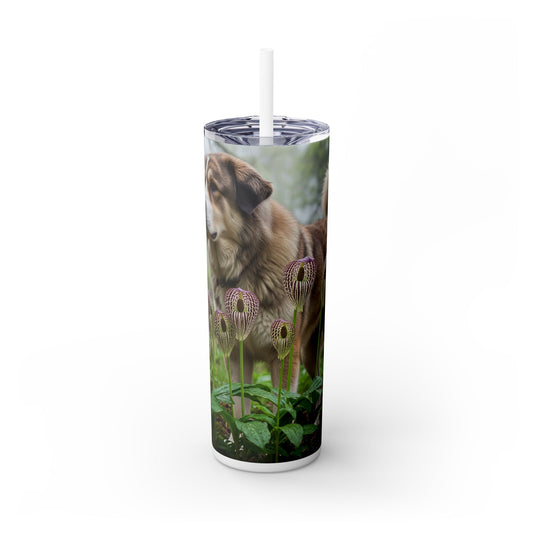 Bakharwal Tumbler with Straw, 20oz