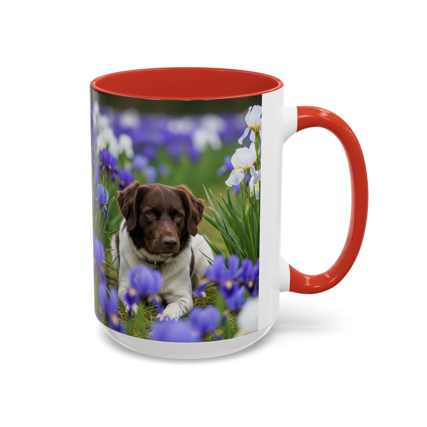 Mug Stabyhouns Accent - Cadeau idéal pour les amoureux des chiens