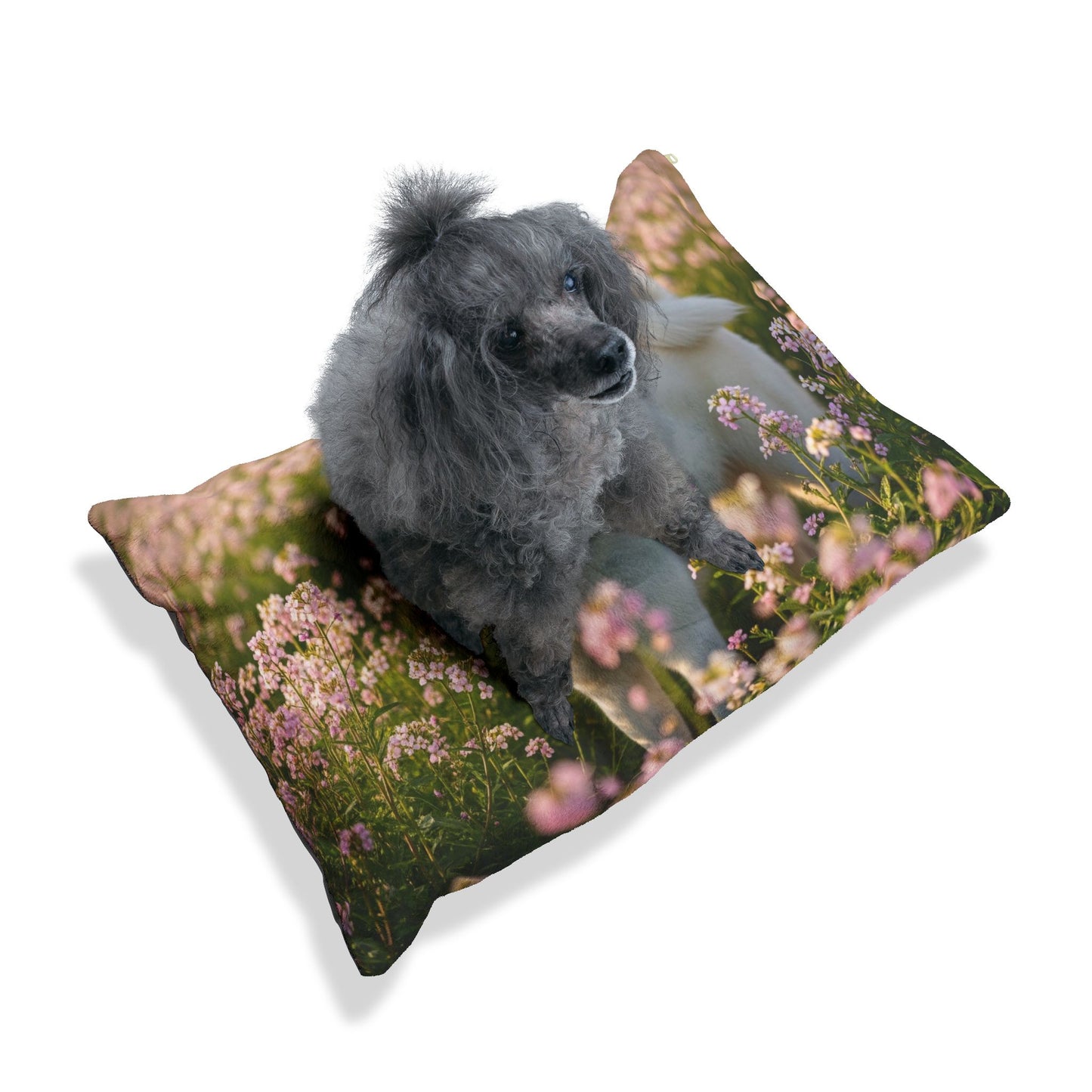 Kishu Ken Pet Bed