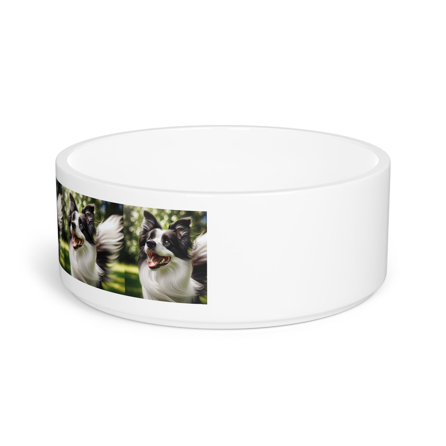 Border Collie Pet Bowl