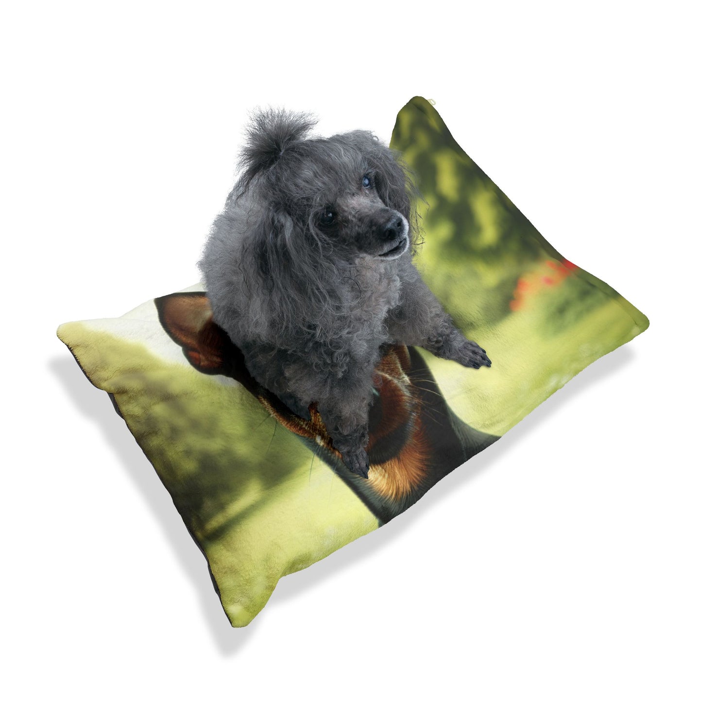 Manchester Terrier Pet Bed