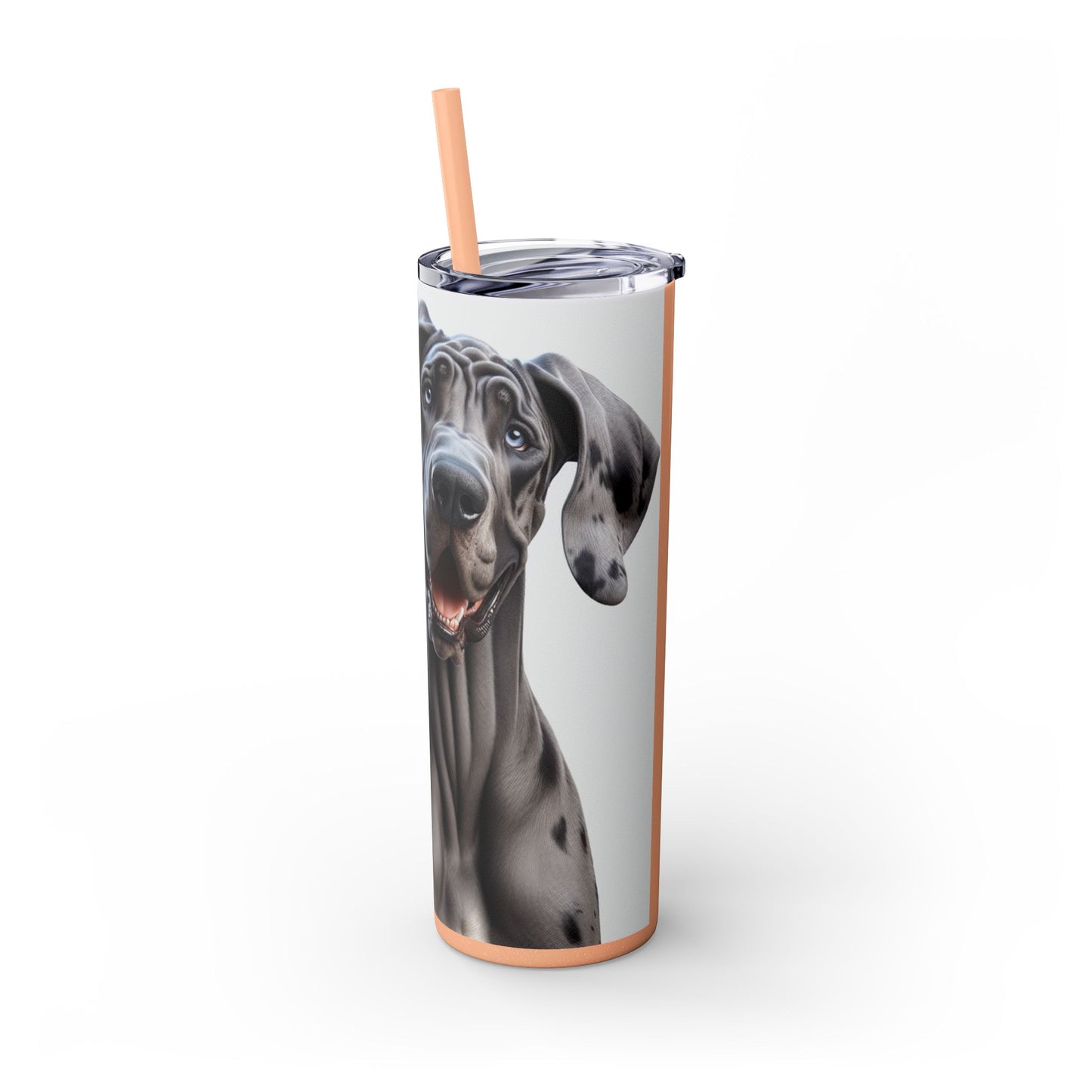 Great Dane Tumbler with Straw, 20oz