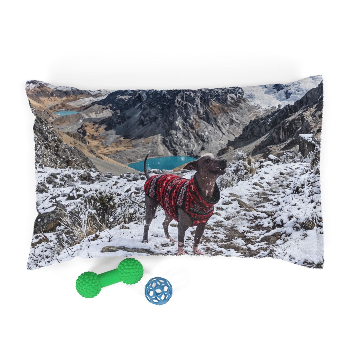 Peruvian Hairless Dog Pet Bed