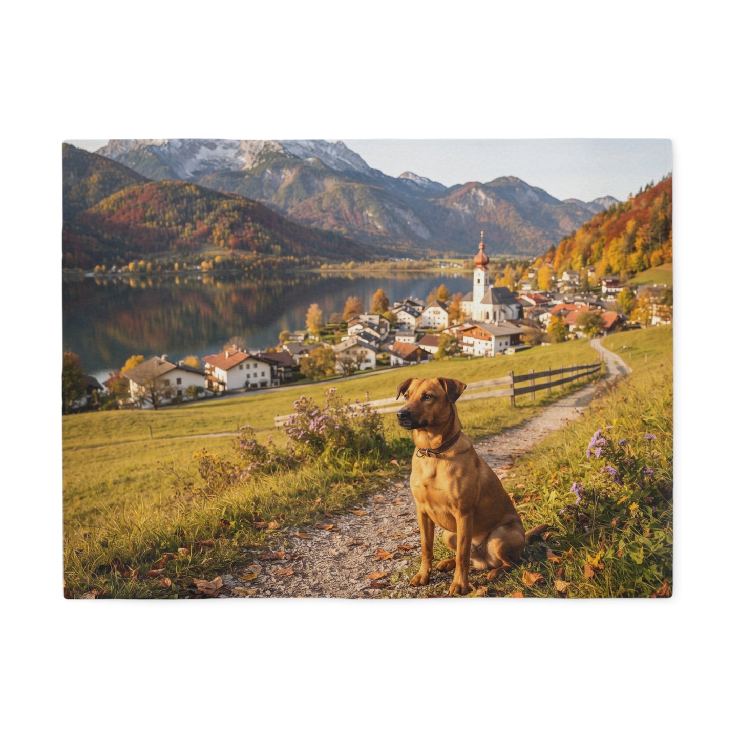 Austrian Pinscher Blanket