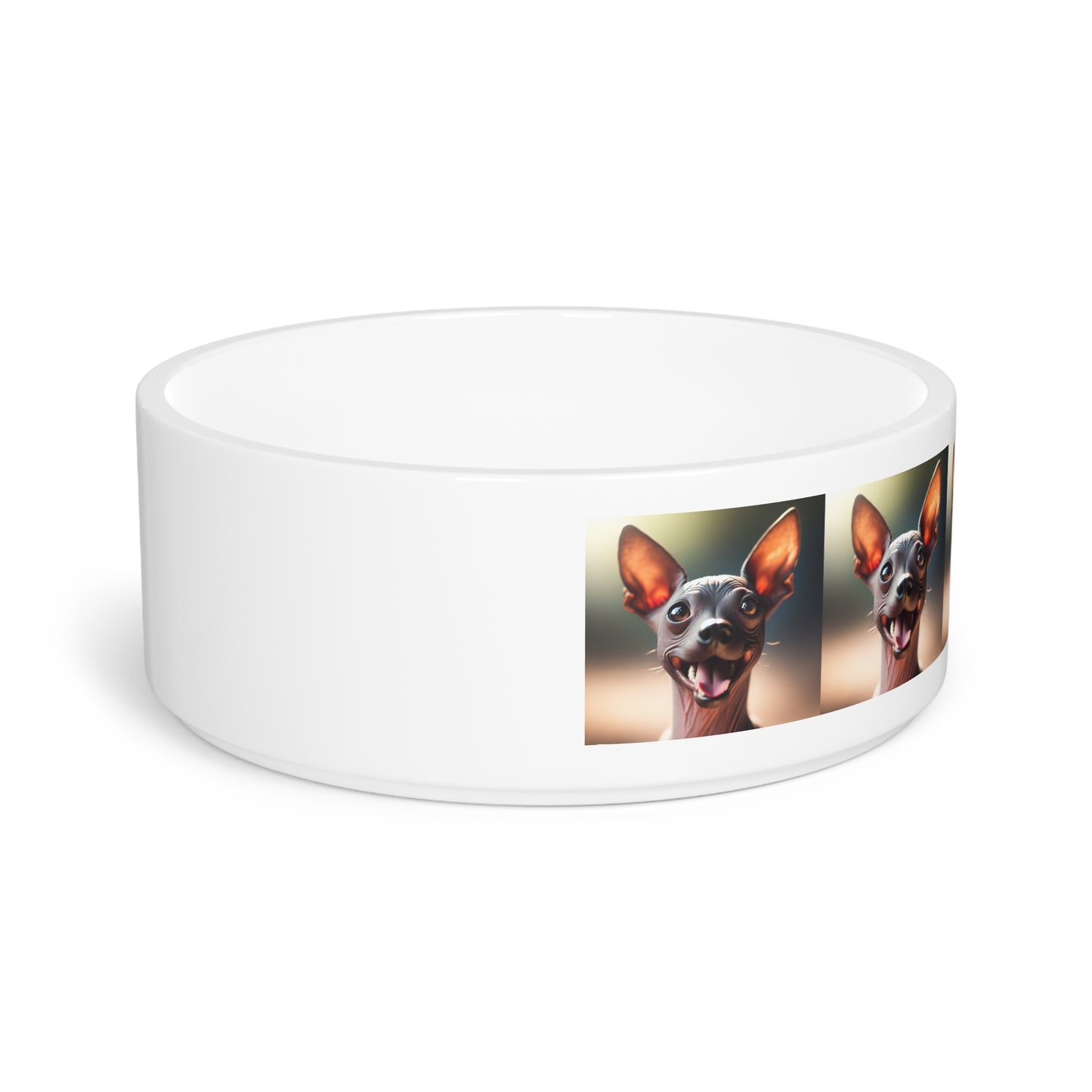 Xoloitzcuintli Pet Bowl