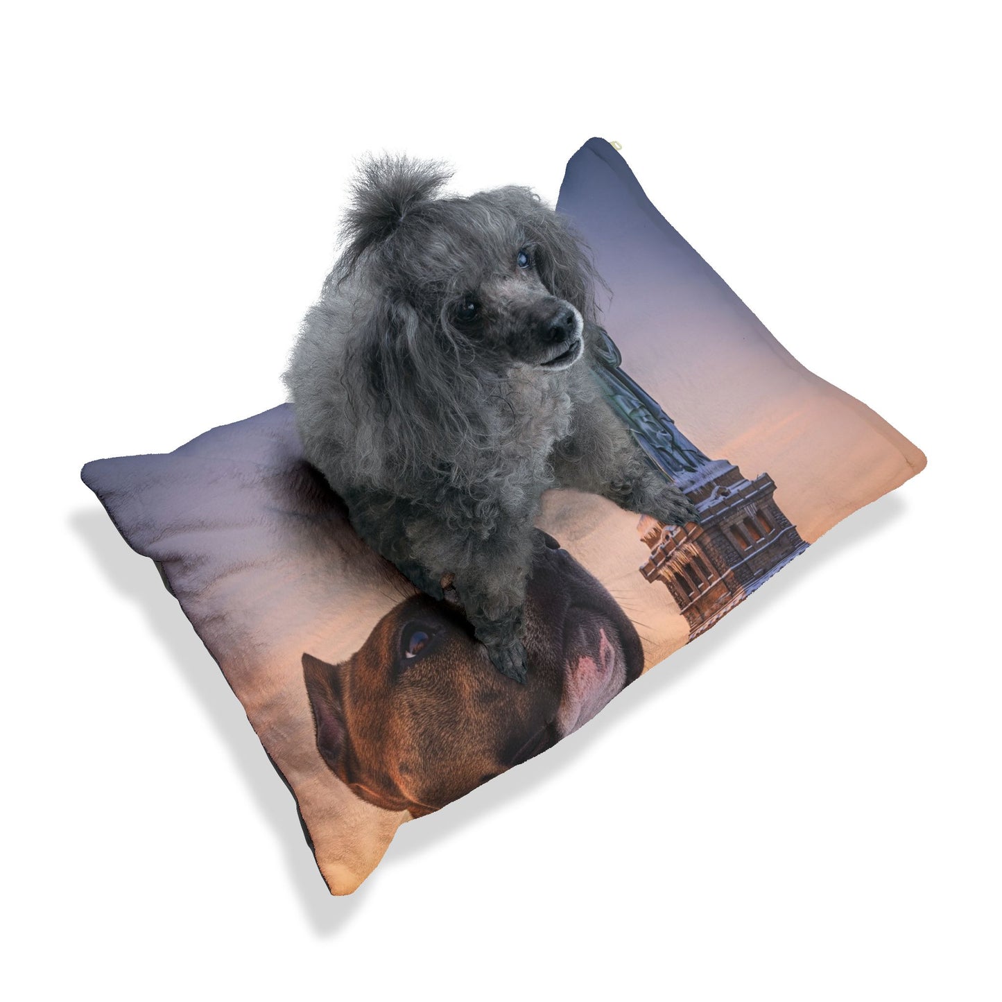 American Staffordshire Terrier Pet Bed