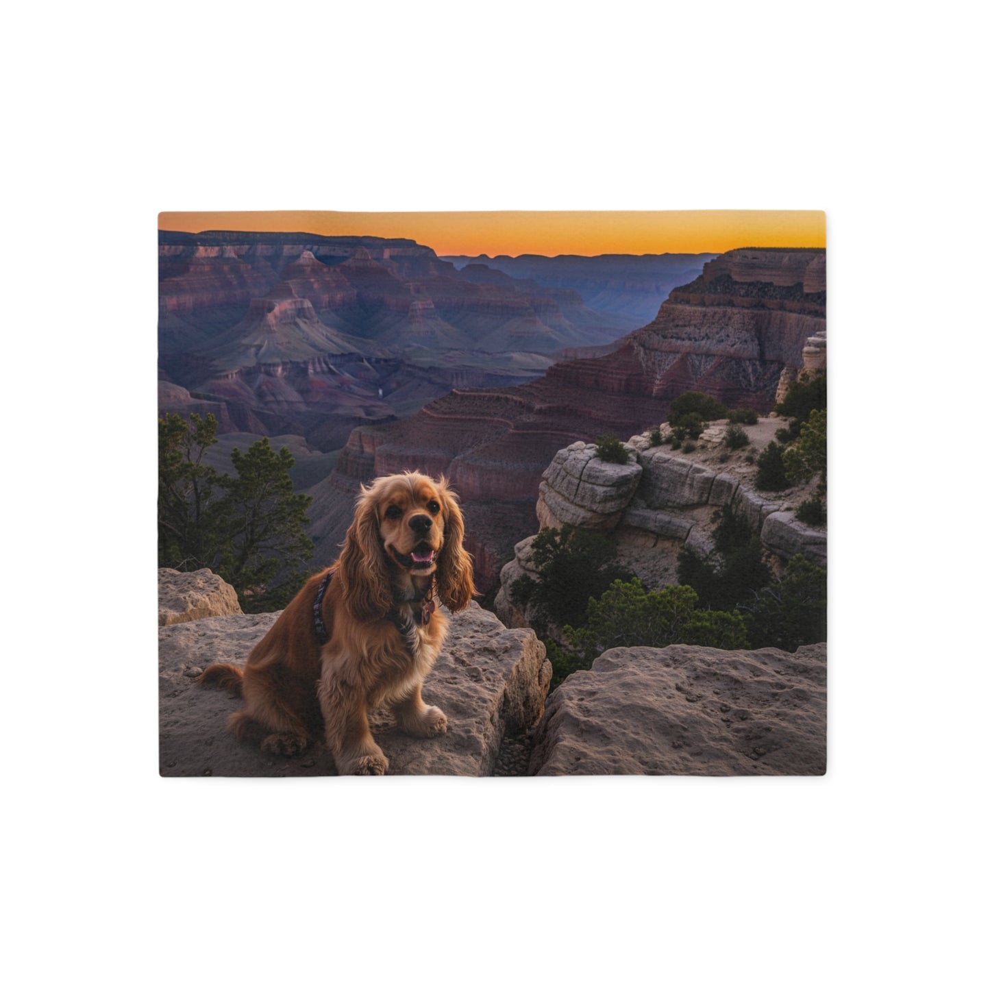American Cocker Spaniel Sweatshirt