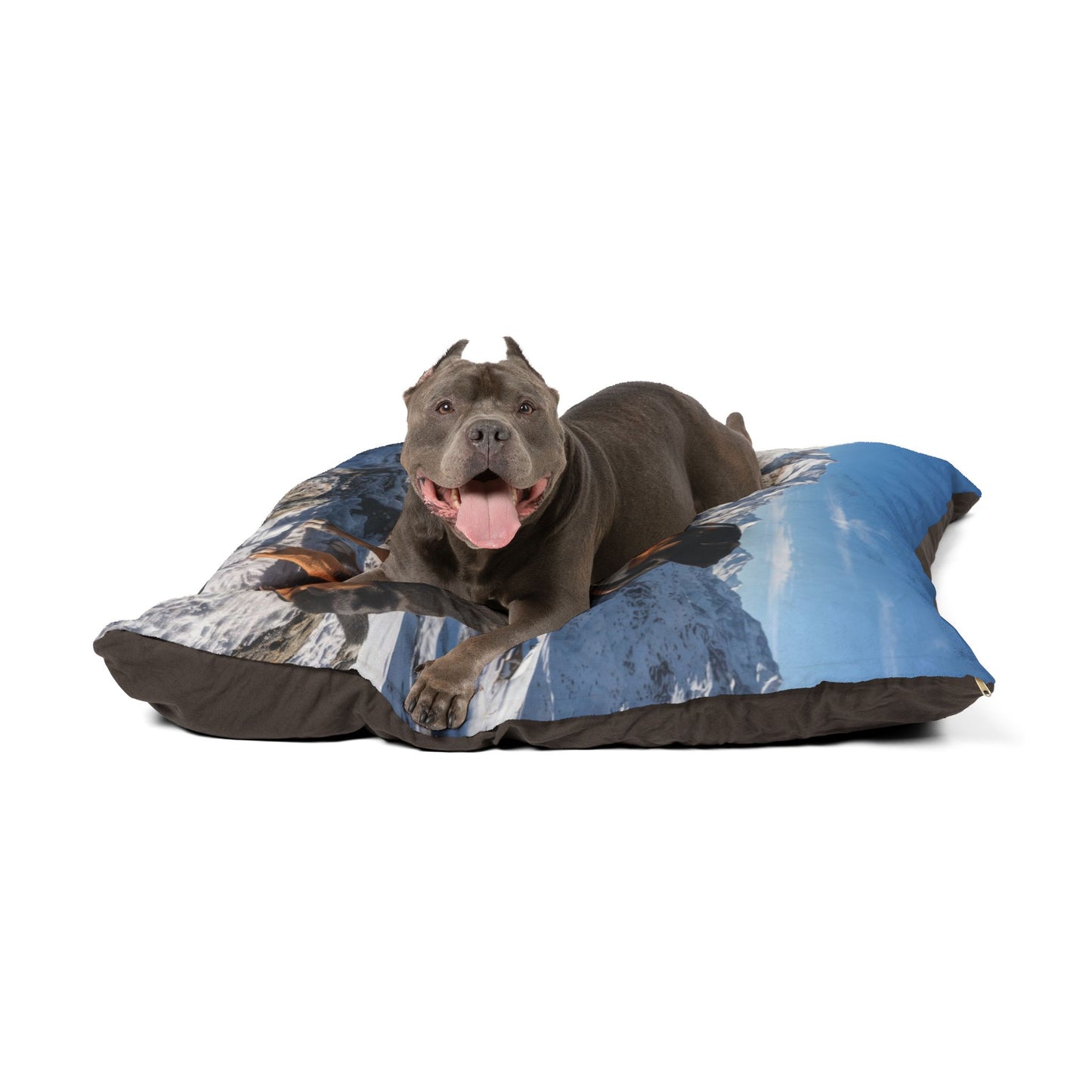 Entlebucher Mountain Dog Pet Bed