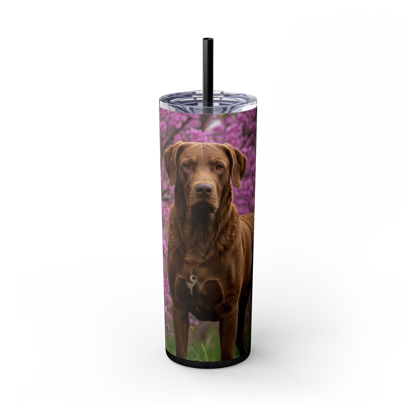 Gobelet isotherme Chesapeake Bay Retriever avec paille, 590 ml
