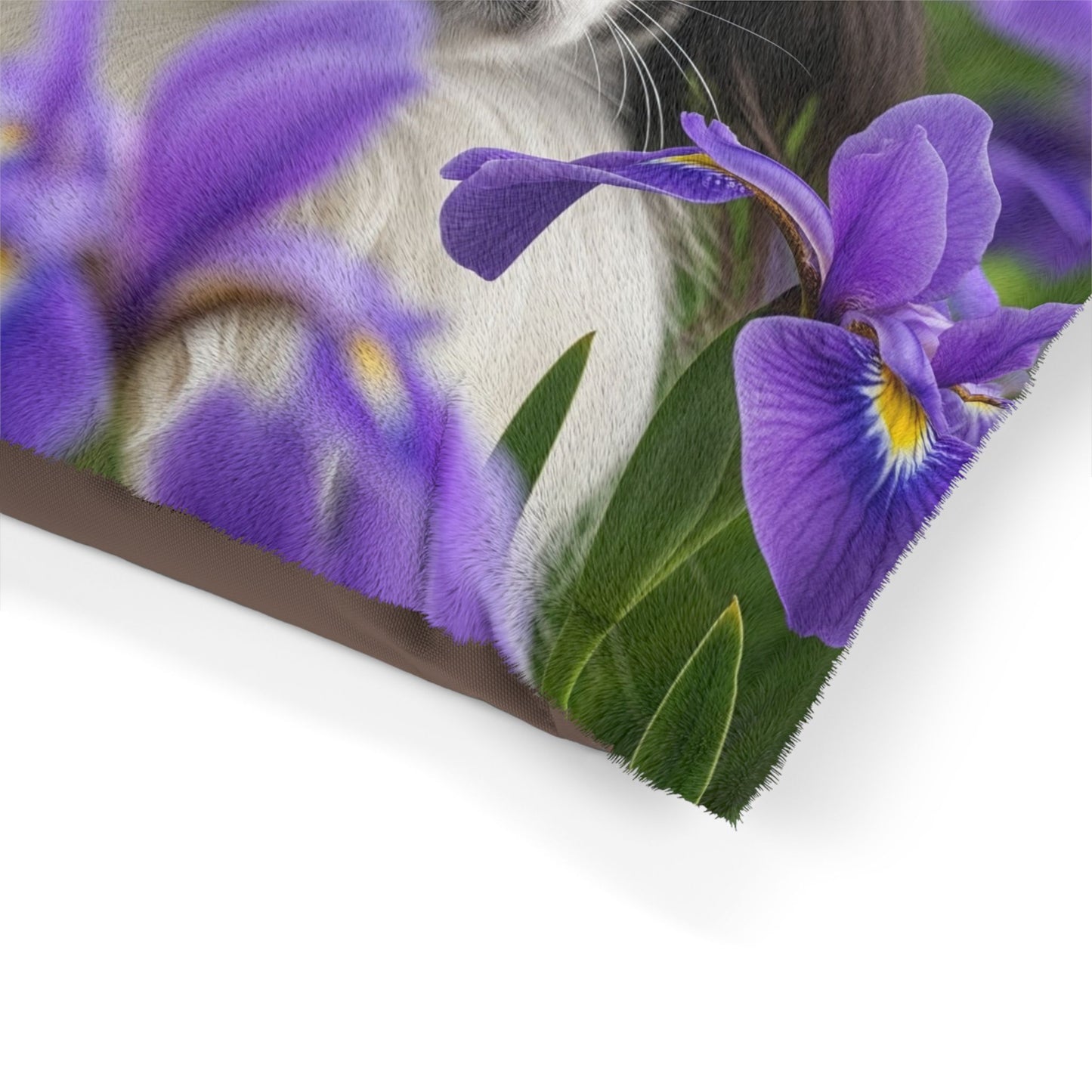 Japanese Chin Pet Bed