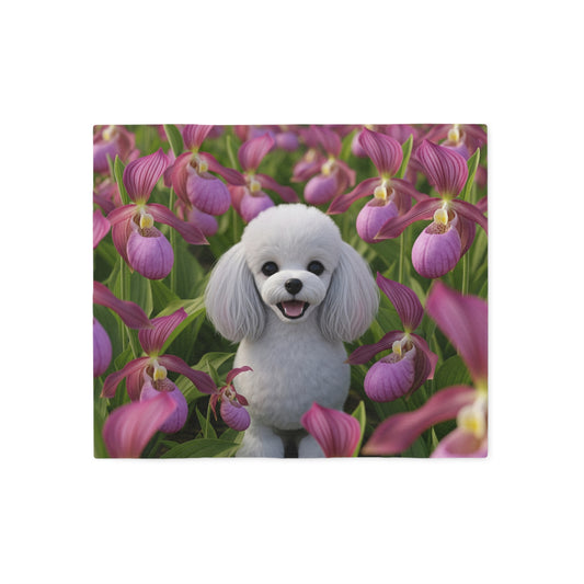 Toy Poodle Sweatshirt Blanket