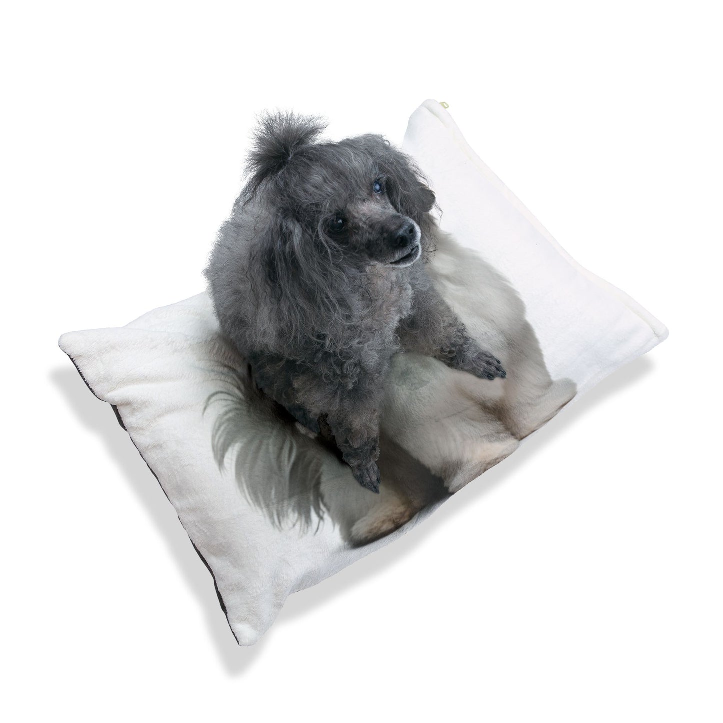 Cama para mascotas Shihchon