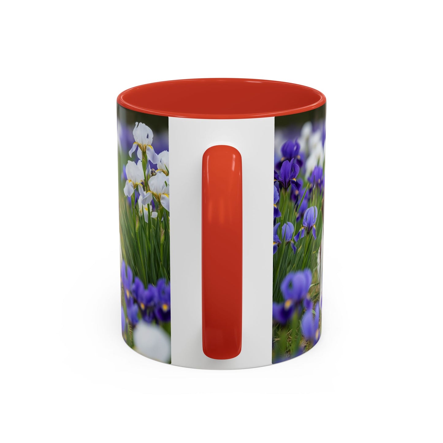 Mug Stabyhouns Accent - Cadeau idéal pour les amoureux des chiens