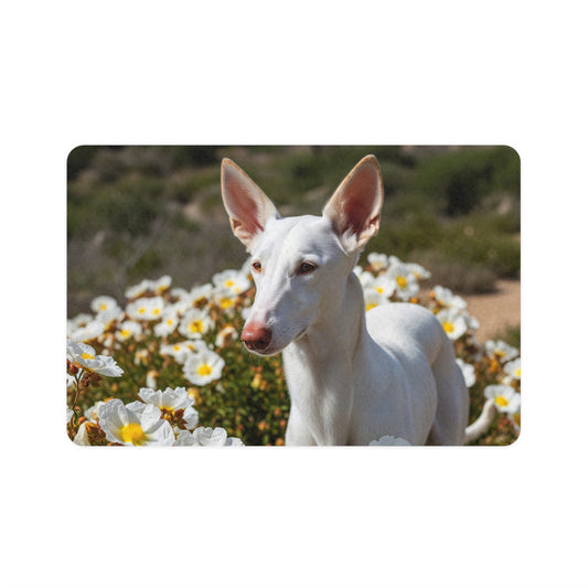 Pet Food Mat (12x18) - Ibizan Hound