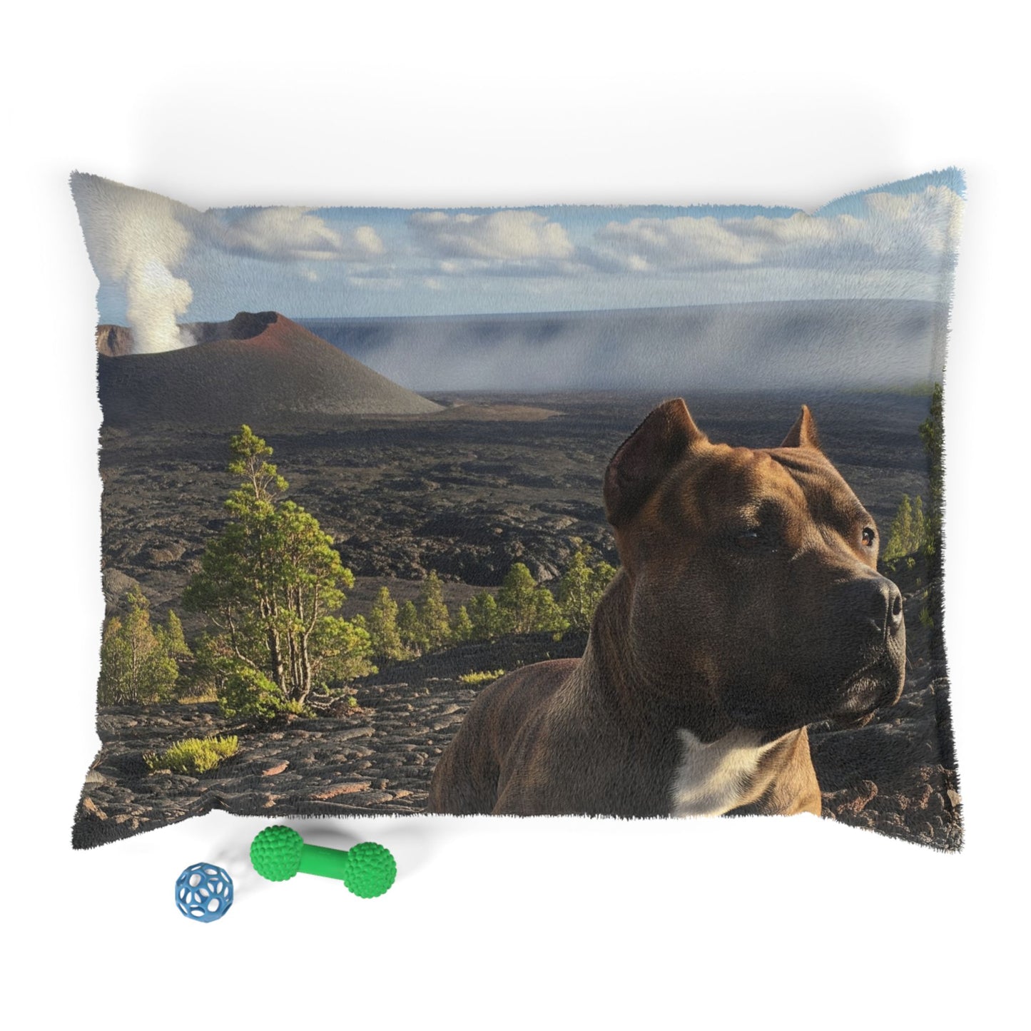 Pit Bull Pet Bed