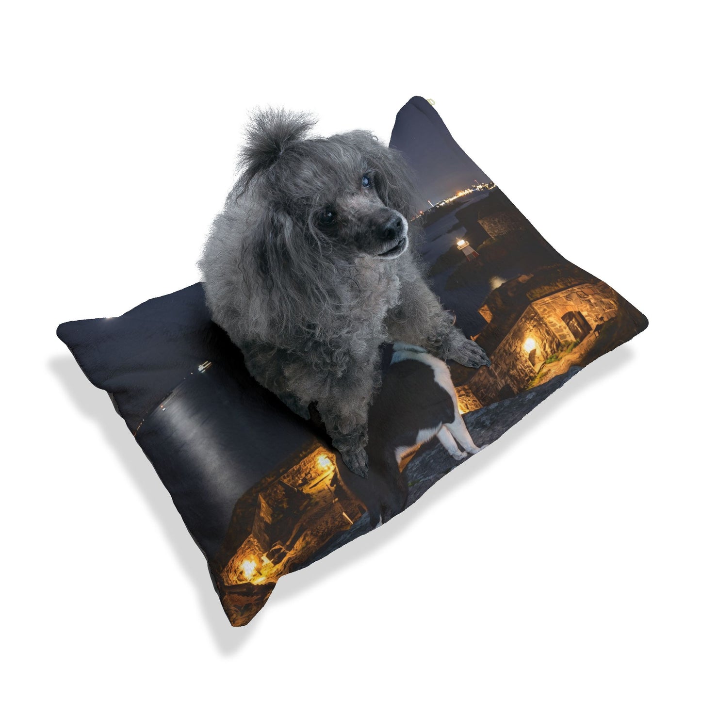 Karelian Bear Dog Pet Bed