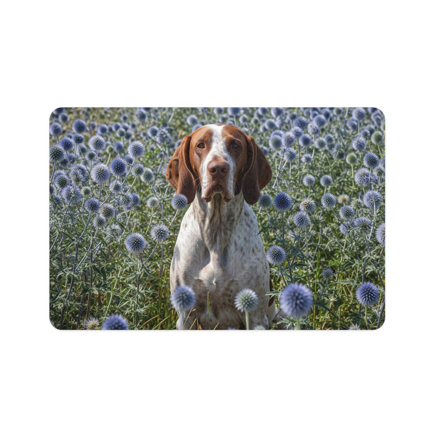 Pet Food Mat (12x18) - Braque Francais Pyrenean