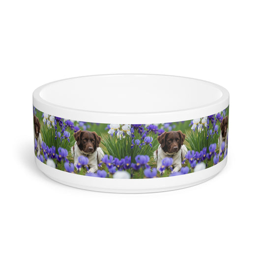Stabyhouns Pet Bowl
