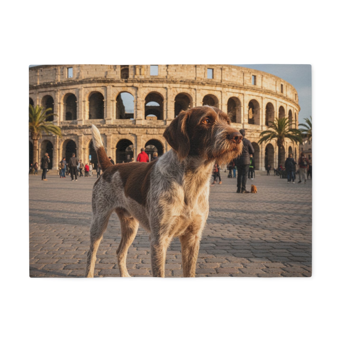Wirehaired Pointing Griffon Blanket