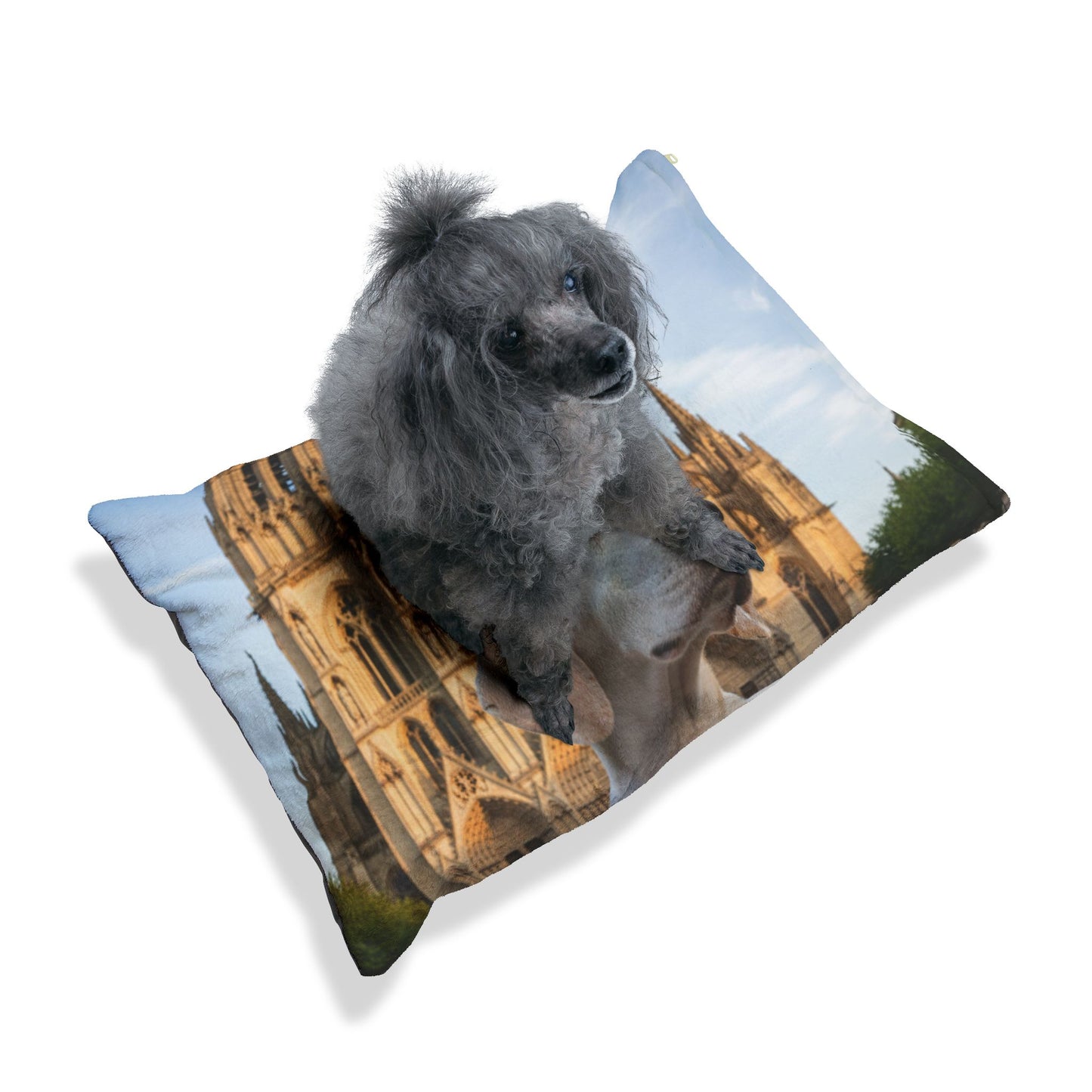 Chien de Porcelaine Pet Bed