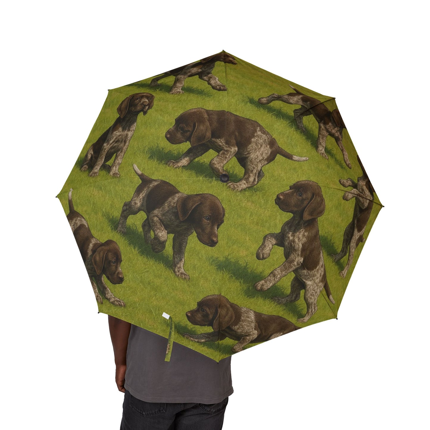 German Shorthaired Pointer puppies Semi-Automatic Foldable Umbrella