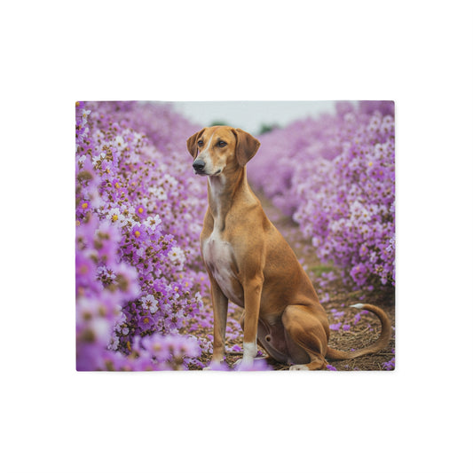 Banjara Hound Sweatshirt Blanket