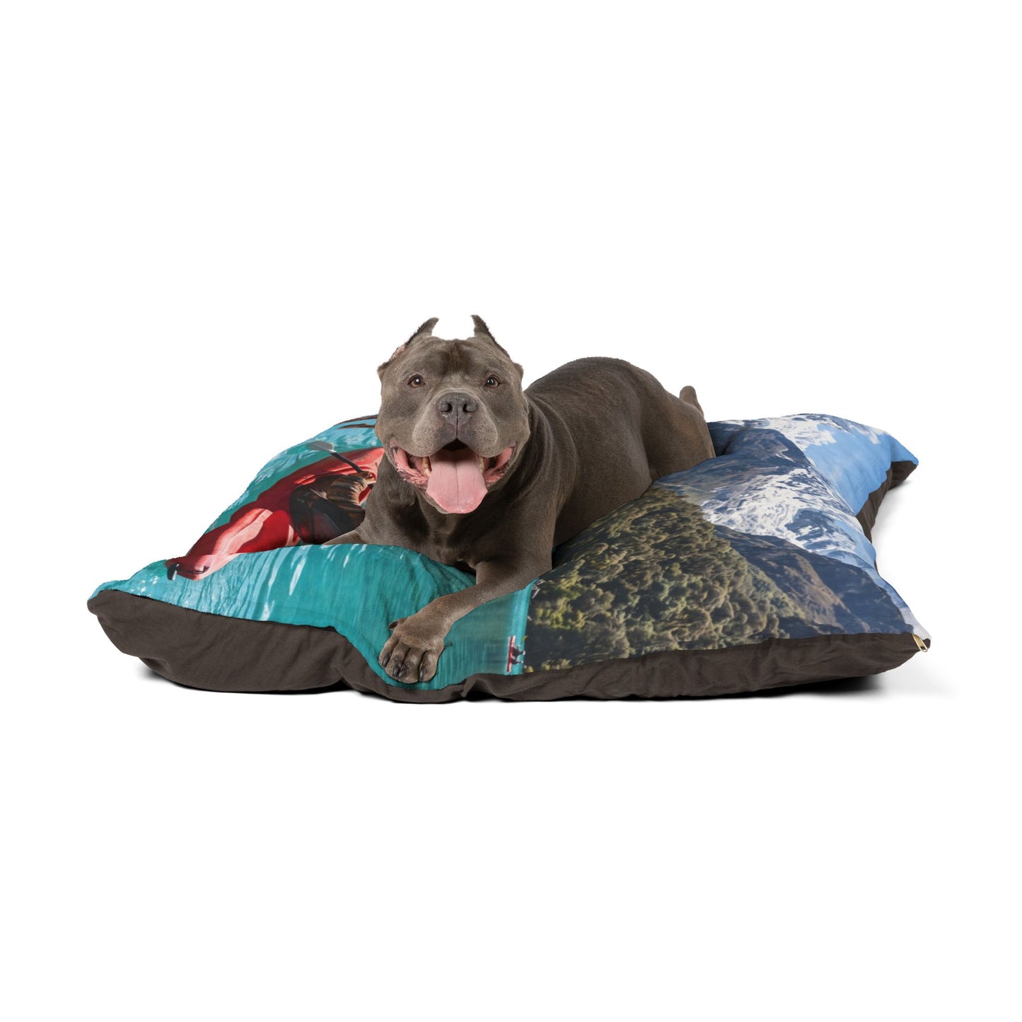 Peruvian Hairless Dog Pet Bed