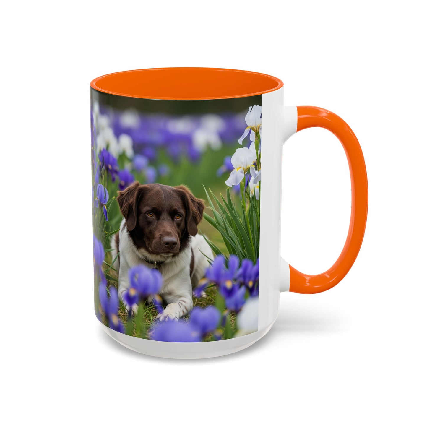 Mug Stabyhouns Accent - Cadeau idéal pour les amoureux des chiens