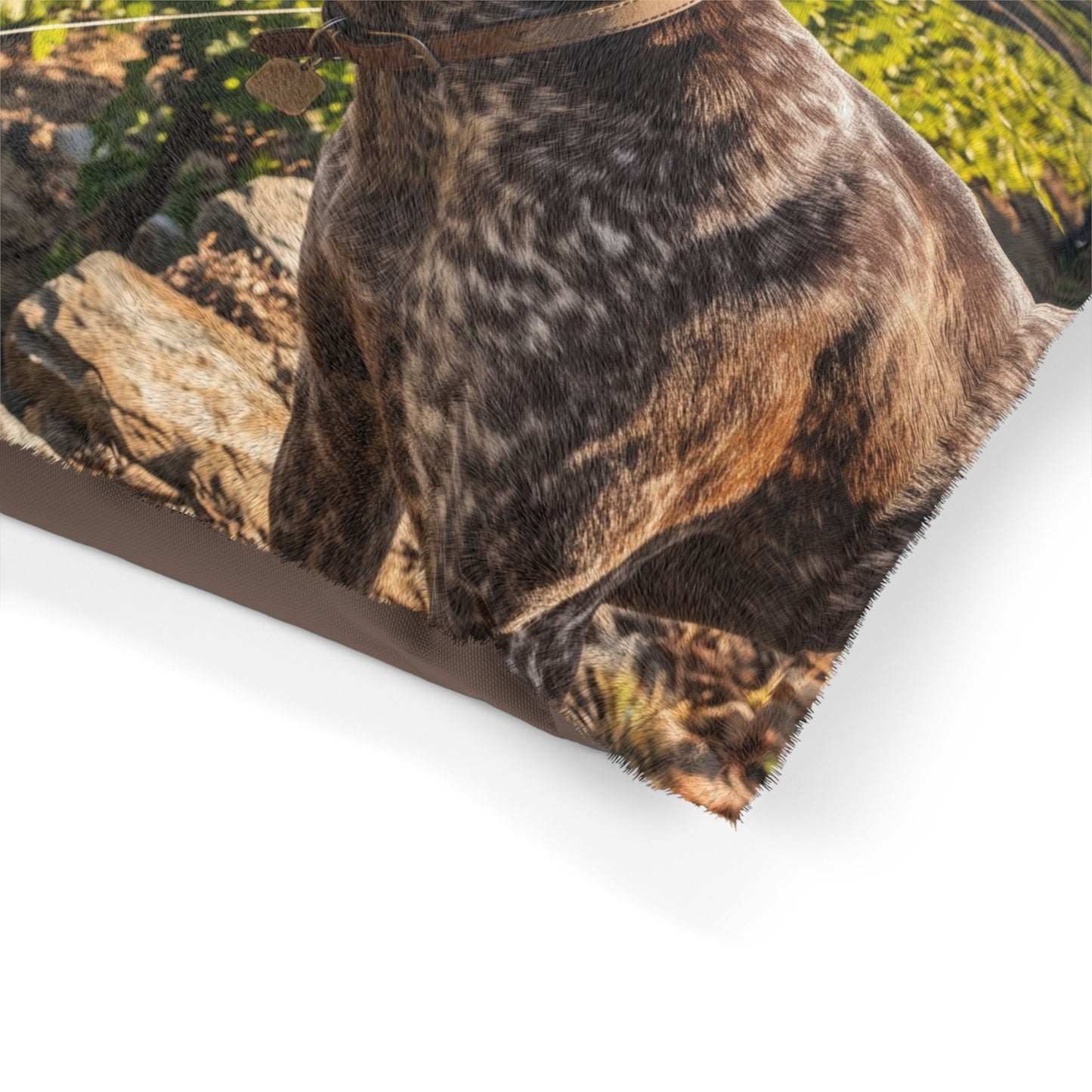 Portuguese Pointing Dog Pet Bed