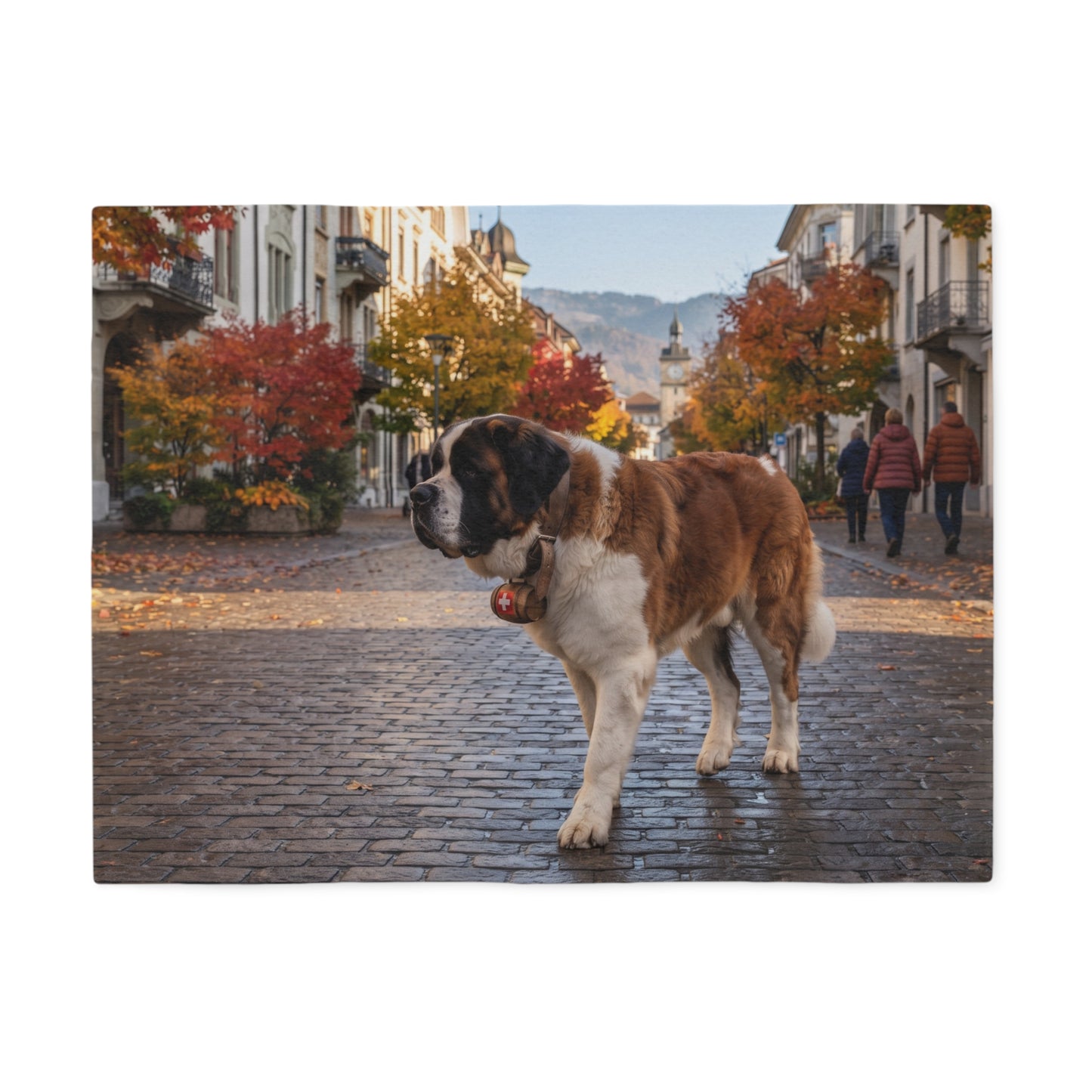 Saint Bernard Blanket