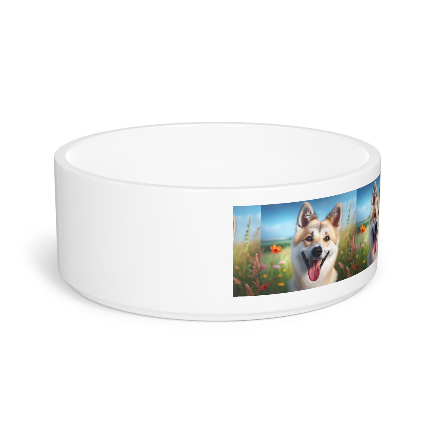 Canaan Dog Pet Bowl