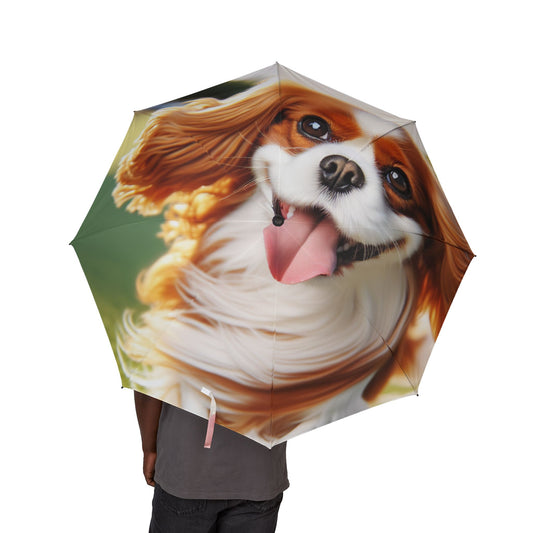 Cavalier King Charles Spaniel Semi-Automatic Foldable Umbrella
