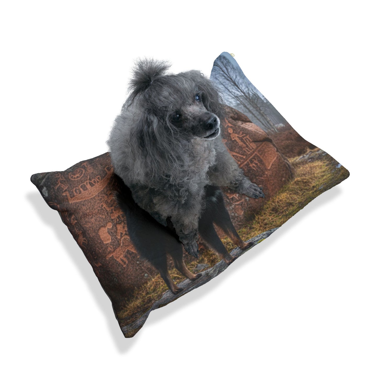 Swedish Lapphund Pet Bed
