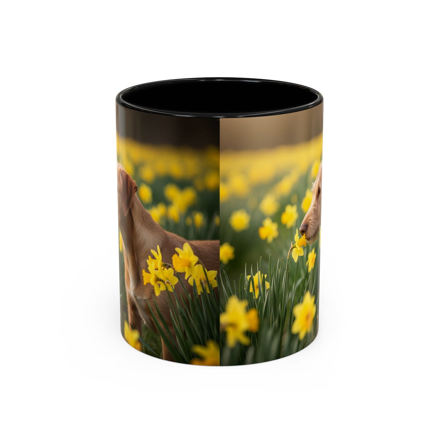 Mug à café avec motif Podengo Pequeno portugais - Cadeau idéal pour les amoureux des chiens