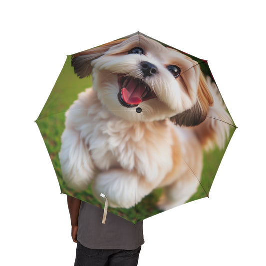 Shih-poo Semi-Automatic Foldable Umbrella