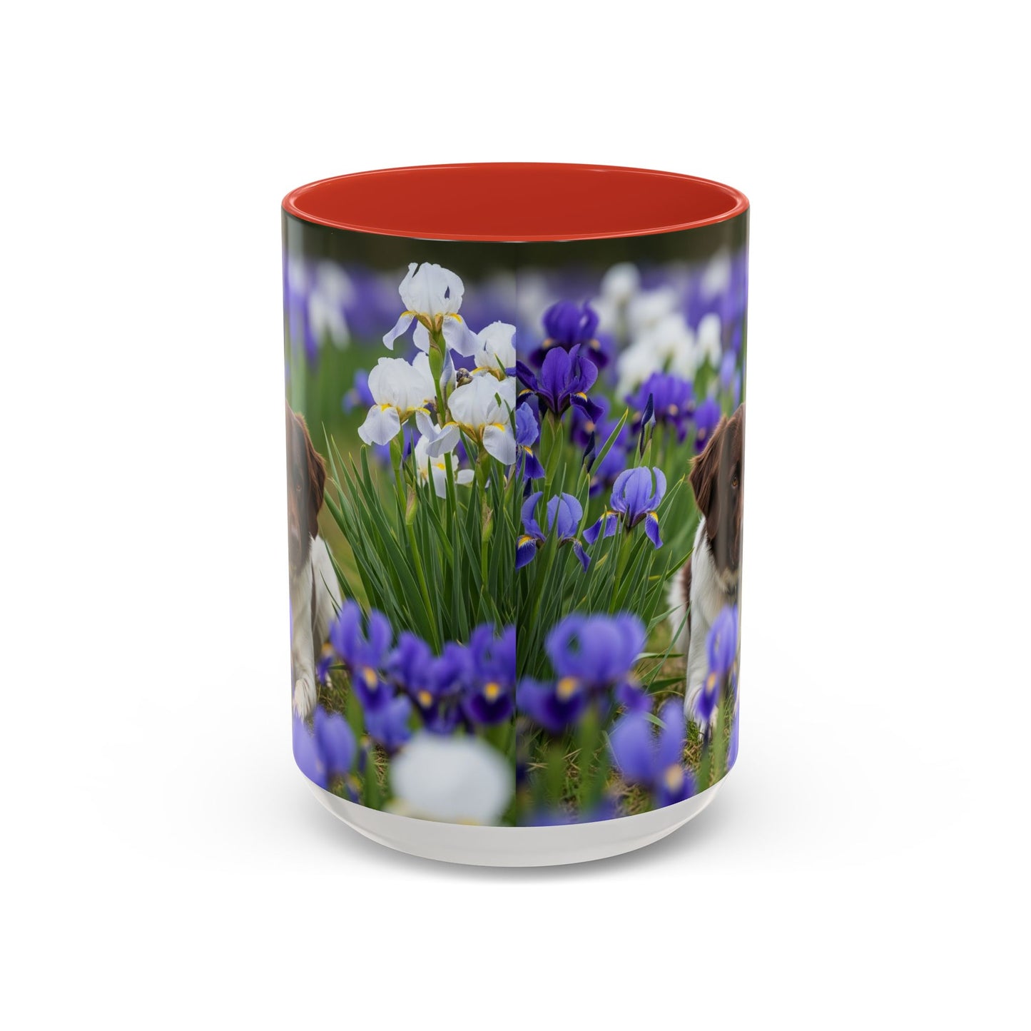 Mug Stabyhouns Accent - Cadeau idéal pour les amoureux des chiens