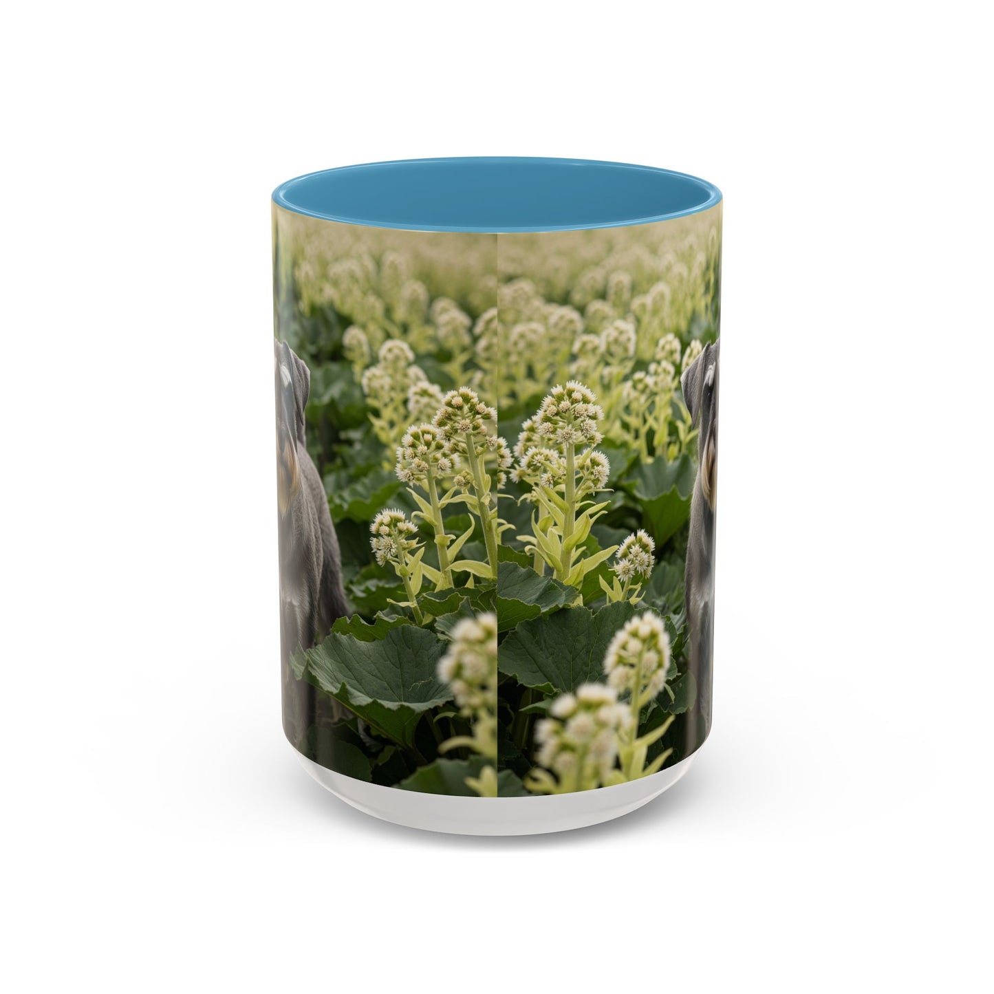 Mug à café avec motif Schnauzer standard - Cadeau idéal pour les amoureux des chiens