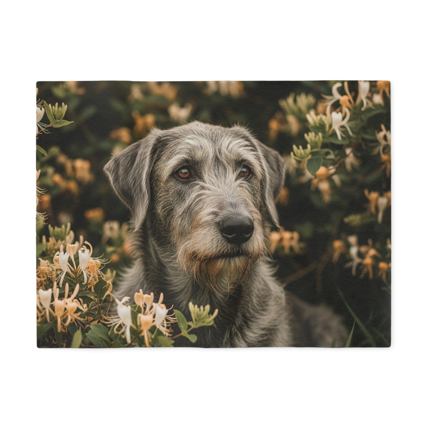 Otterhound Sweatshirt Blanket