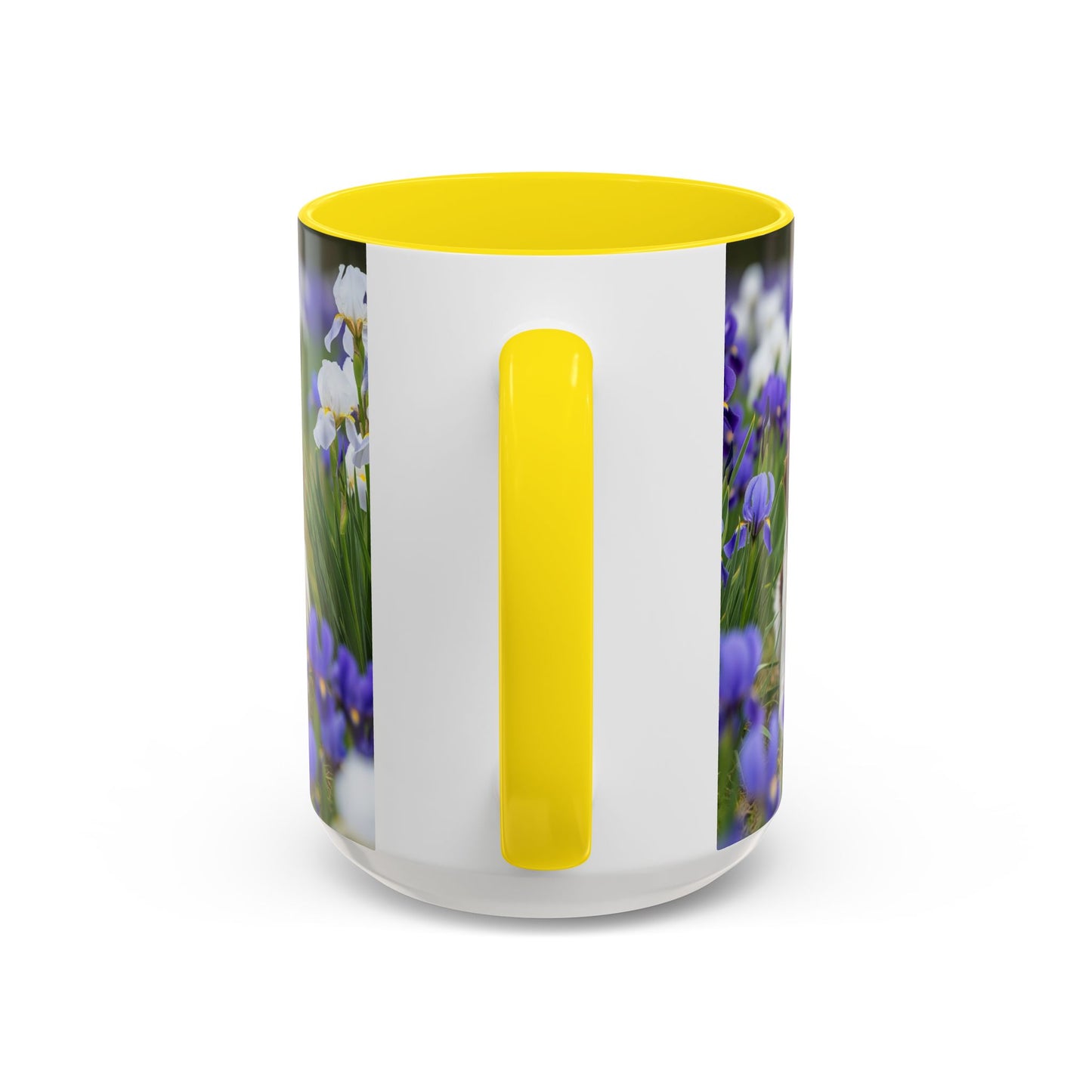Mug Stabyhouns Accent - Cadeau idéal pour les amoureux des chiens