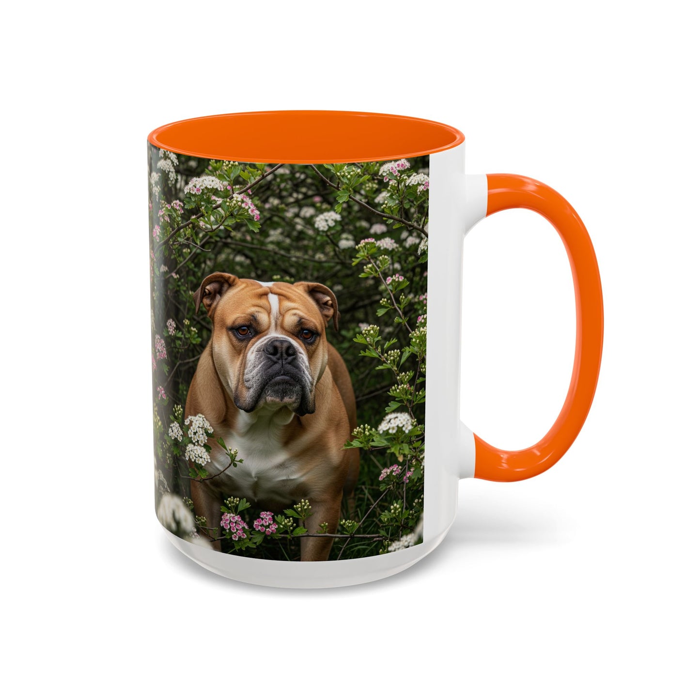 Mug à café Olde English Bulldogge Accent - Cadeau idéal pour les amoureux des chiens