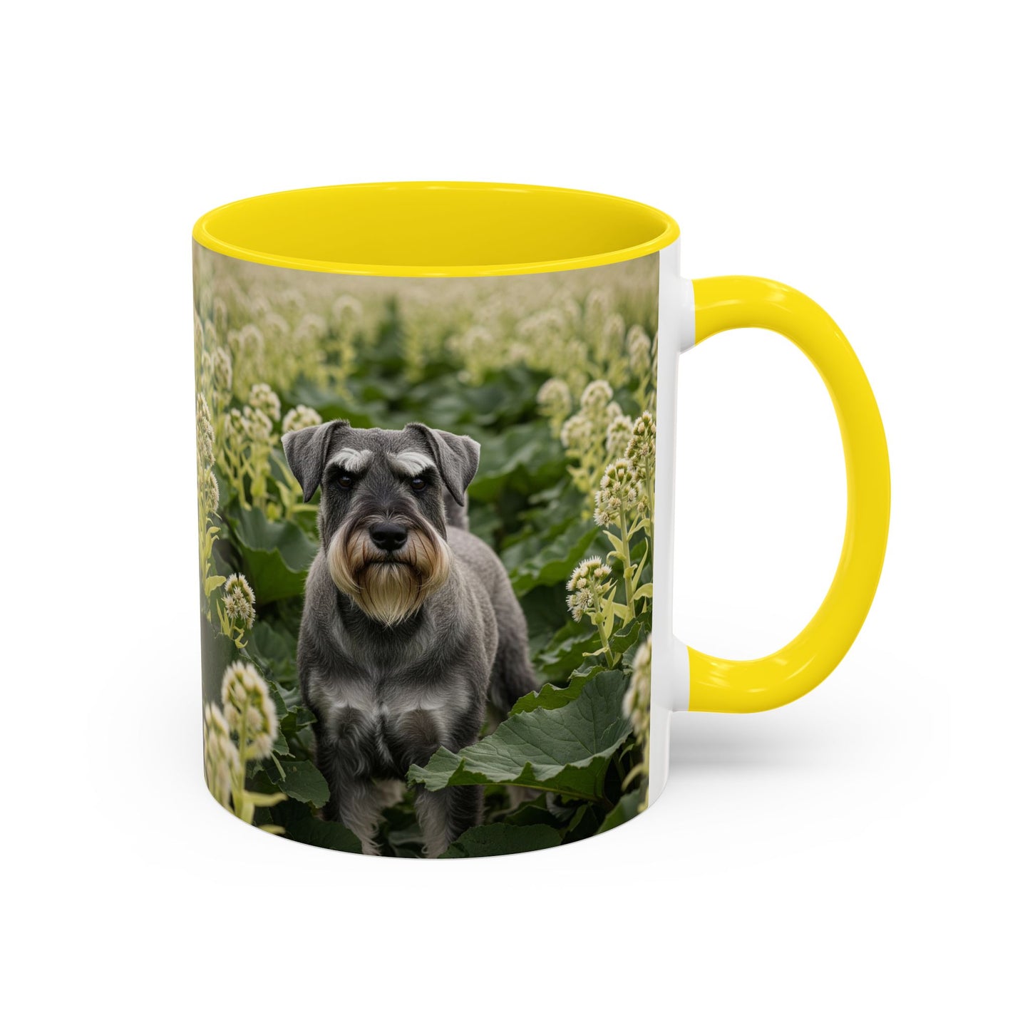 Mug à café avec motif Schnauzer standard - Cadeau idéal pour les amoureux des chiens