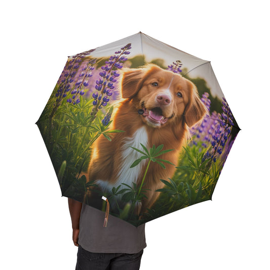 Nova Scotia Duck Tolling Retriever Semi-Automatic Foldable Umbrella