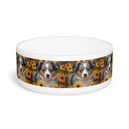Gamelle pour chien de berger américain miniature