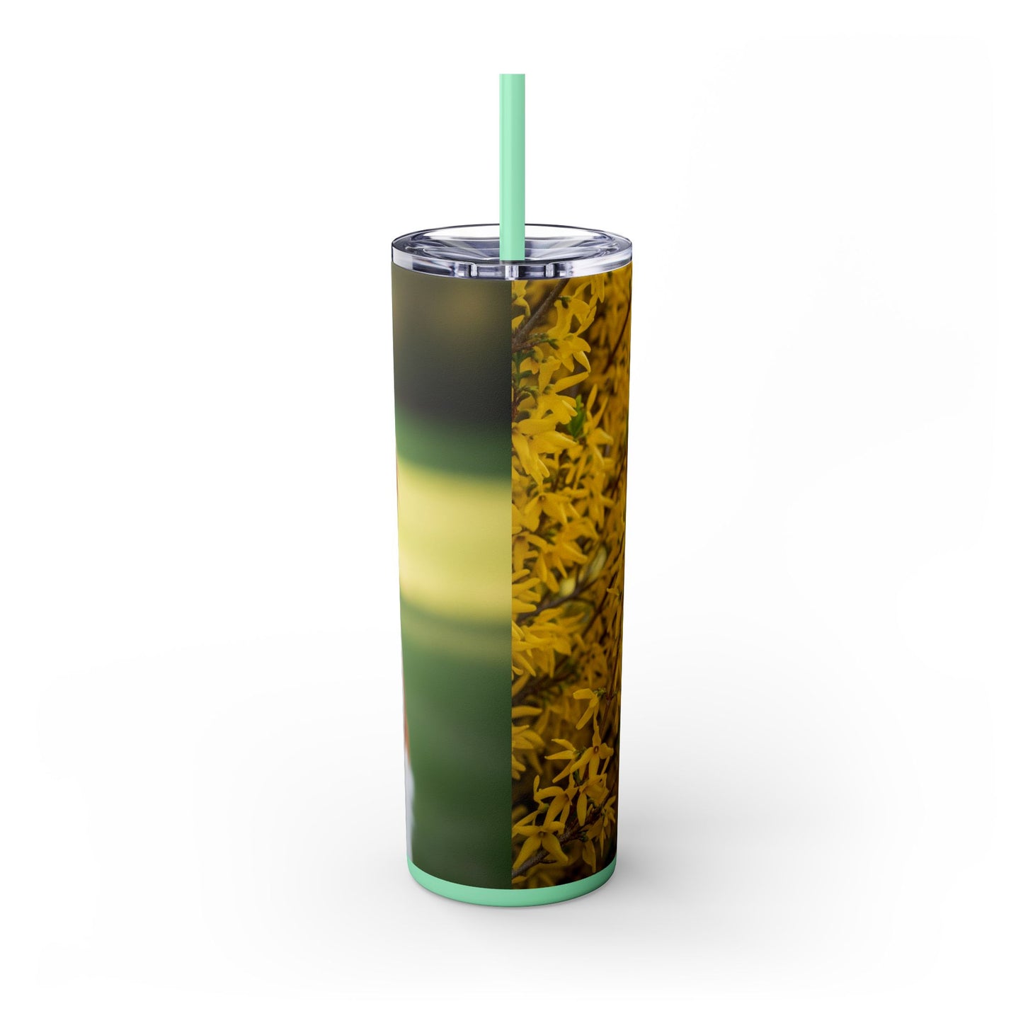 Brittany Dog Tumbler with Straw, 20oz